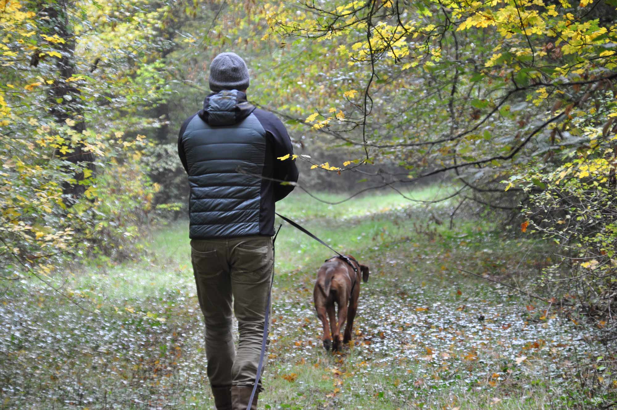 Praktijkspeuren in het bos