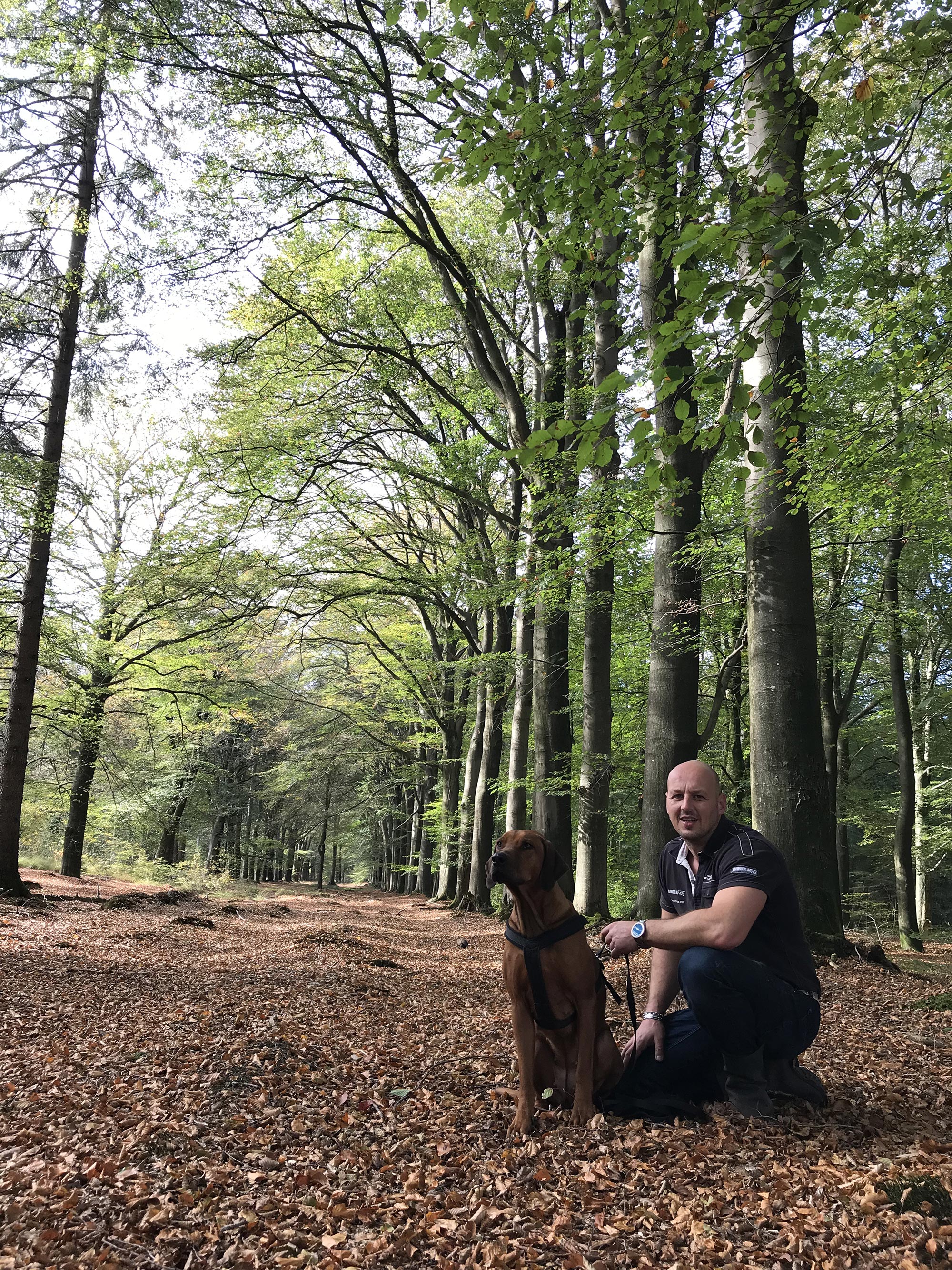 Wietze van der Meer, Speurinstructeur De Aanzet