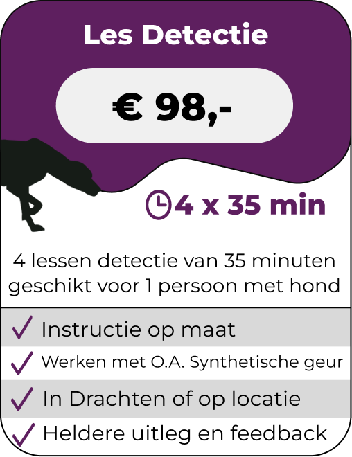 Detectie 35 min (rittenkaart)